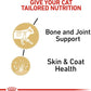 Royal Canin Maine Coon Adult Breed Specific Cat Food Thin Slices in Gravy, 3 oz can (6-Pack)