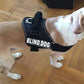 Doggie Stylz Blind Dog Vest Harness with Removable Patches and Reflective Trim. Comes with 2 Blind Dog Reflective Hook and Loop Patches. Measure Dogs Girth Before Purchase (Girth 30”- 42" Black)