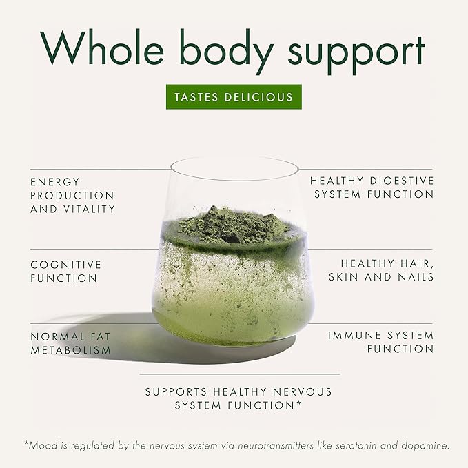 WelleCo The Super Elixir Daily Greens Powder, Probiotic Drink Mix with Whole Foods, Gluten Free, Vegan Gut Health Powder, Energy, Immunity, Healthy Skin, Hair & Nails (300g, Pineapple & Lime Jar)