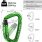 Climbing Carabiner Clips 25kN Auto Locking Carabiner, Professional Heavy Duty Large Locking Carabiner Clips for Rock/Ice Climbing Rappelling Rescue Swing etc, D Shaped, Large Size