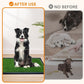 LOOBANI 41x26.8in Large Dog Grass Potty Tray - Dog Litter Box with 2-Pack Replacement Artificial Grass Puppy Training Pads - Potty Tray for Balcony Apartment Indoor Outdoor Use