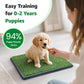 Dog Grass pad with Tray,41”x 26.8” Indoor Dog Potty with 2 Packs Replacement Artificial Fake Grass-5 Packs Disposable Puppy Pads,for Puppy Training Apartment, Outdoor Use