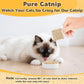 80PCS Catnip - Cat Nip for Cats Natural Dried Catnip Treats Premium Cat Nip Perfect for Toys, Training Rewards, Stress Relief, Freshly Harvested Bag Bulk Pack,2.8OZ