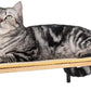 Meowoou Cat Wall Shelf with Sisal Mat, Wall Mounted Rubber Wood Cat Wall Furniture, Cats Climbing Steps for Wall, Cats Window Perches for Sleeping, Playing and Scratching