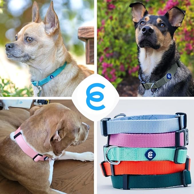 Blueberry Pet X-Small Dog Collar | Girl Dog Collars | Female Dog Collar XS | Quick Release Dog Collar | Baby Pink Nylon Dog Collar for Girl, Collar for Small Dogs