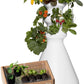 Farmstand Starter Kit + 18 Seedling Credits | Small Hydroponic Growing System Kit | Self-Watering Outdoor Vertical Garden Planter Tower | 4ft 3in | Made in USA