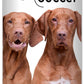 The Blissful Dog Vizsla Nose Butter for Dry, Cracked Skin, Lick-Safe Dog Nose Balm with Moisturizing Shea Butter, Almond, Olive, and Essential Oils, Pet Supplies, Uncented, 0.50 oz.