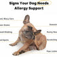 Kayode Itch & Allergy - Natural Dog Allergy Chews with Advanced Itch Relief. Premium Colostrum & Bee Pollen for Dog Allergies. Natural Alternative to Allergy Medicine
