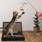Toy Cat Laptop with 2 Scratchboards + Catnip Mouse Toy for Cats + 50pack Cat Sticker - Interactive Eco-Friendly Cat Computer with Scratch Pad Laptop for Cats - Mini Cat Laptop
