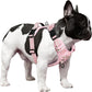 Timos Dog Harness, No-Pull Pet Harness with 2 Leash Clips, Adjustable Soft Padded Dog Vest, Reflective Outdoor Pet Oxford Vest with Easy Control Handle Pink XS