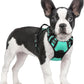 rabbitgoo Dog Harness No Pull with 2 Leash Clips, Adjustable Soft Padded, Reflective Oxford No Choke Pet Vest with Easy Control Handle for Small Dogs, Turquoise, S