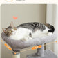 Cat Tree for Indoor Cats, 45.7" Multi-Level Cat Tower with Large Metal Frame Hammock, Cat Condo with 4 Scratching Posts and Top Perch for Small Medium Kitty, Grey
