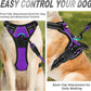 BARKBAY No Pull Dog Harness Front Clip Heavy Duty Reflective Easy Control Handle for Large Dog Walking(Purple,XL)
