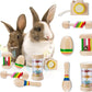 6 Pcs Wooden Bunny Toys - Safe Rabbit & Guinea Pigs Teeth Grinding Toys for Chinchillas, Hamsters & Small Animals - Indoor & Outdoor