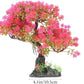 POPETPOP Artificial Aquarium Plant Plastic Water Plant Tree Fish Tank Bonsai Ornament Fish Tank Hideout Sushi Plate Decor for Aquarium Terrarium Landscape Pink