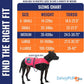 Dog Reflective Vest – Hi-Vis Fluorescent Visibility That Helps to Safeguard Your Pet On/Off Leash in Urban & Rural Areas (Pink, Medium)