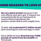 I AND LOVE AND YOU Stir and Boom Dehydrated Freeze Dried Raw Dog Food - Beef - Grain Free, Real Meat, No Fillers, 1lb Bag