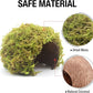 Hamster Hideaway/Hideout,Mossy Cave Hide,Hamster House/Hides,Hamster Cage Accessories for Gguinea Pig/Hedgehogs/Gliders/Rats/Mice and Other Small Animals (Small)