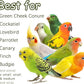 5-Pack Natural Flower Bird Toys – Foraging & Chewing Toys for Parakeets, Cockatiels, Conures & Small Birds – No Plastic, All-Natural Materials