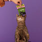 Blue Q Duuuuuuude Catnip Cat Toy. Premium Organic Catnip Grown in The USA, 100% Cotton Pouches, Kitty Graphics Sure to Delight Every Cat-Keeper.