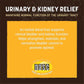 Earth Animal Herbal Remedies | Urinary and Kidney Relief | 2 fl oz