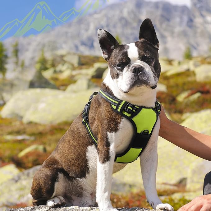 Eagloo Dog Harness Medium Sized Dog, No Pull Service Vest with Reflective Strips and Control Handle, Adjustable and Comfortable for Walking, No Choke Pet Harness with 2 Metal Rings, Green, M