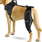 Dog ACL Knee Brace for Back Left Leg - with Integrated Harness - for Cruciate Ligament Injuries, Patellar Luxation, Post-Surgery Recovery. Durable, Breathable Material, Eases Pain - (XLarge)