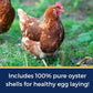 Pampered Chicken Mama Best Eggs Ever! Nesting Herbs for Chickens (10 Ounces) Calcium Supplement for Chickens | Chicken Feed Supplies, Hen Treats for Coops