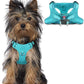 Dog Harness Step in Dog Vest Harness, Reflective Adjustable Puppy No Pull Harness Breathable Soft for Small and Medium Dogs Cats, Ocean Blue, XXS