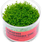 Ultum Nature Systems Dwarf Baby Tears Hemianthus Callitrichoides Cuba Tissue Culture Live Plant for Aquarium, Aquascape, Planted Freshwater Fish Tanks - 100% Snail Free in Vitro