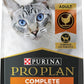 Purina Pro Plan High Protein Cat Food With Probiotics for Cats, Chicken and Rice Formula - 16 lb. Bag