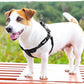 PUPTECK No Pull Dog Harness Soft Adjustable Basic Nylon Step in Puppy Vest Outdoor Walking with ID Tag, Reflecive Black, S
