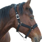 Horse Halter with Wool Lining, Adjustable Halter for Horses Satin Hardware to Prevent Friction, Breakaway Halters for Horses,Perfect for Traction and Performance