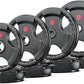 XDDIAS Rubber Weight Plates for Barbell, 2-Inch Olympic Grip Plate for Strength Training, Weightlifting and Bodybuilding in Home & Gym, Solid Cast Iron Weight Plates Pair and Sets
