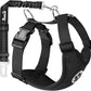 Lukovee Dog Seat Belt for Car, Adjustable Dog Car Harness for Large Medium Small Dogs, Soft Padded & Breathable Mesh Dog Seatbelt with Car Vehicle Connector Strap (Black,X-Small)