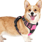 rabbitgoo Dog Harness Small Sized, No Pull Pet Harness with 3 Buckles, Adjustable Soft Padded Vest with Control Handle, Walking Reflective Pet Vest for Small Dogs, Rose Pink, S