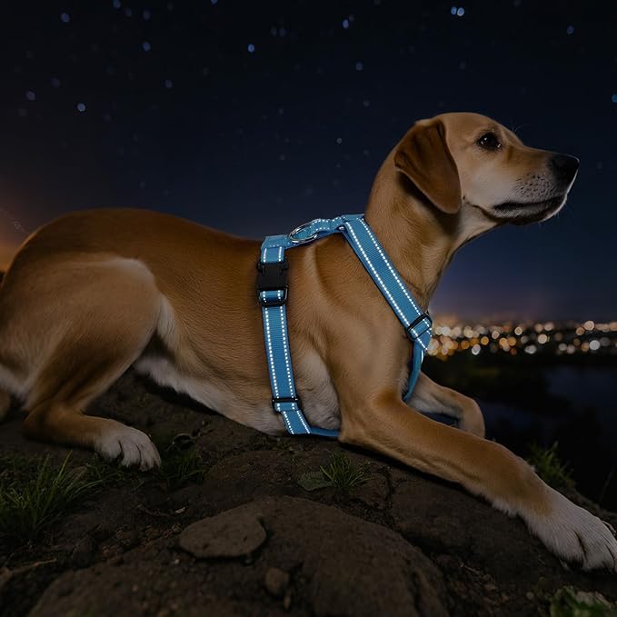 Dog Seat Belt Harness for Car, Dog Car Harness Adjustable Mesh Breathable & Dogs Seatbelt Safety Tether with Elastic Bungee for Small Medium Large Pets(Blue, L)