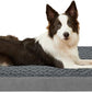 Orthopedic Memory Foam Bed for Large Dogs, Waterproof Cooling Pet Mats for Crate with Removable Washable Cover,Ideal for Arthritic Dogs (Large plus-36"x 27" x 3", Rose Plush)