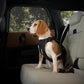 Thule Cappy Dog Harness L - Crash-Tested for Safety - Seatbelt passthrough - Adjustable & Easy to Clean - Padded Breathable mesh Panels - Leash Loop - Step-in Design