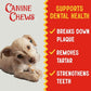 Canine Chews Chicken-Wrapped Rawhide Twists for Dogs - Pack of 100 U.S.A. Sourced Chicken Wrapped Rawhide Dog Treats, Sticks for Dogs - Premium & Natural Beefhide Chews