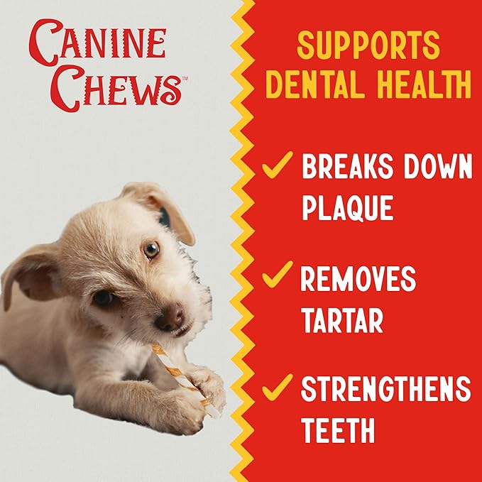 Canine Chews Chicken-Wrapped Rawhide Twists for Dogs - Pack of 100 U.S.A. Sourced Chicken Wrapped Rawhide Dog Treats, Sticks for Dogs - Premium & Natural Beefhide Chews