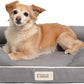 Friends Forever Orthopedic Dog Bed, Memory Foam Pet Sofa, Calming Dog Couch, Water Resistant Pet Bed, Washable Cover, Non-Slip Bottom, Chester, Grey, 25" x 20" x 5.5"
