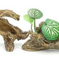 JIHAQUA Artificial Driftwood for Aquarium Decor Plastic Plant Branches Ornament for Fish Tank Decorations (Style C)
