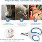 Cats & Dogs Pets Nail Clippers & Trimmers Rabbit Nail Clippers cat Nail Clippers for Indoor Cats cat Claw Clippers with Safety Guard Professional Grooming Tool for Cat Kitten