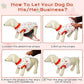 FUAMEY Recovery Suit for Dogs After Surgery,Soft Breathable Dog Bodysuit E-Collar & Cone Alternative Surgical Suit,Male Female Dog Neuter Spay Suits Anti Licking Wounds Onesie Red Flower M