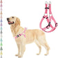 PUPTECK No Pull Dog Harness Soft Adjustable Basic Nylon Step in Puppy Vest Outdoor Walking with ID Tag Medium