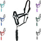 Majestic Ally Leather Halter with Matching Lead Rope for Horses – Leather Breakaway Crown - Adjustable Chin Strap – Rolled Throat Latch – Padded Noseband – Full (Black-Black Nickel, Full)