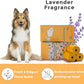 Dog Poop Bags Rolls Cornstarch Based Thickened&100% Leak Proof Dog Waste Bags -120 Count 8 Rolls - Doggie Poop Bag for puppy and Big Dogs(Lavender)