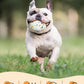 7.28" Indestructible Large Bone Balls for Aggressive Chewers Durable Stick Bouncy Interactive Chew Toy for Dogs Fetch Game Lightweight Floating Outdoor Training, White