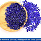 WAYBER Glass Stones, 1Lb/460g Irregular Sea Glass Pebbles Non-Toxic Artificial Gemstones for Gem Display/Vase Filler/Terrarium Flowerpot Aquarium Turtle Tank Decoration, Dark Blue
